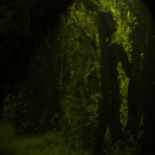 numbers in the dream - Gilded Bride LP
