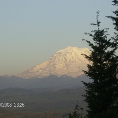 ♯maydn - the music just turns me 0n