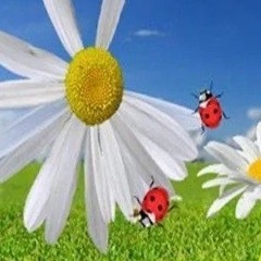 Different Planet ft Vestra