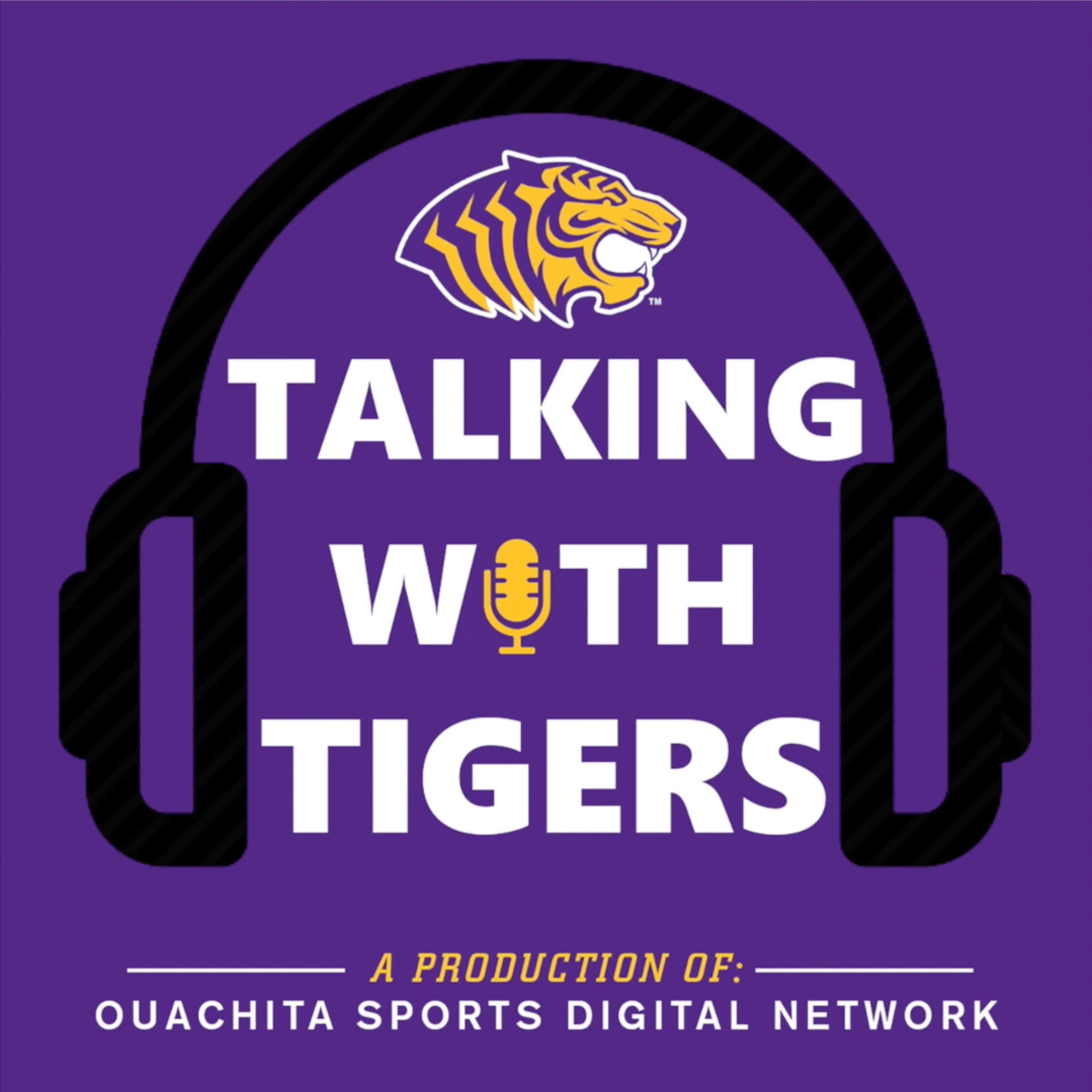 Talking with Tigers