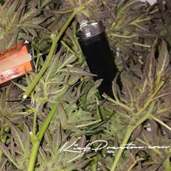 EAGLES HEAD by MR GO HARD &. LMR (prod. by Kief Preston)