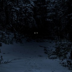 Wolves of Isengard