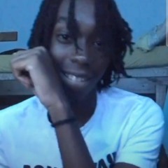 phlnoturnboy- Fauna 🦚  (prévia).wav