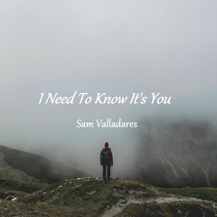 I Need to Know It's You (Demo)