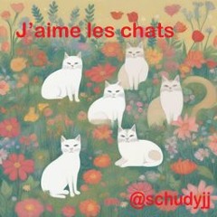 2 J'aime Les Chats