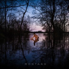 MONTAAG / Lenine was here