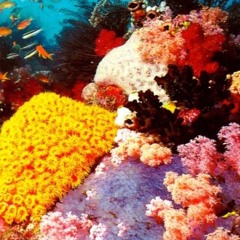 Beautiful World [Radiohead Rework]