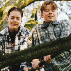 Outdoor Plants - Orchids