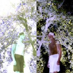 I will grow out of this tree