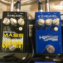 TC-Helicon combo vocals with guitar