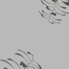 Moderat - The Mark (Interlude) (ZAIIRA Remix)
