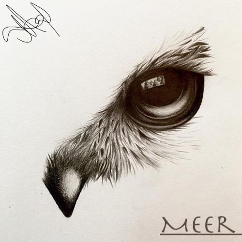 Meer at the dark side of the moon  2022 |02 | 22