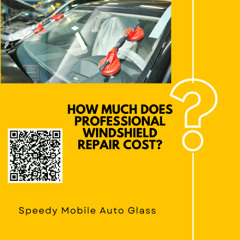 How much does professional windshield repair cost
