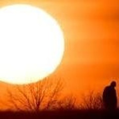 Under The Sun