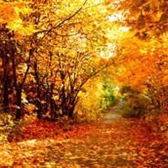 Private Bordeaux Atmosphere Vol. 10 : November