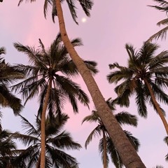 Palm Tree Fest - Poolside Set