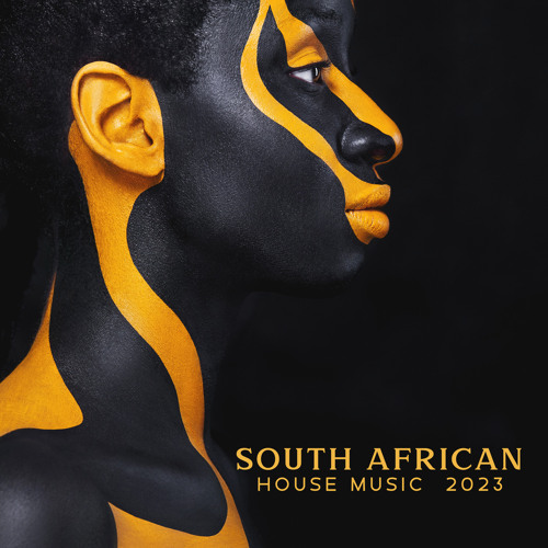 new south african house music 2023