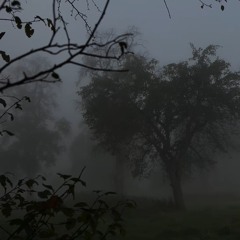 Deleted your presence