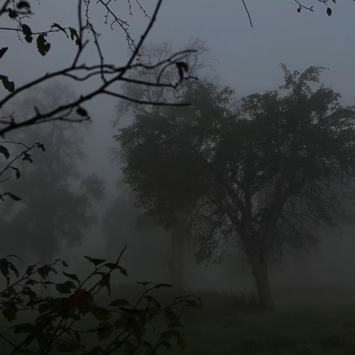 Deleted your presence