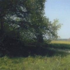 Water Meadow
