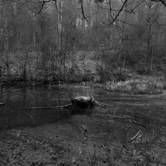 Phantom of the Night