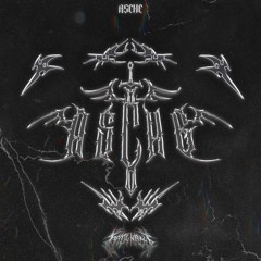 ASCHE [KNVA004]