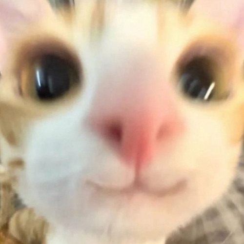 SILLY TIME (SPED UP)