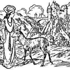 The Folktale Project - The Little Brother and Sister