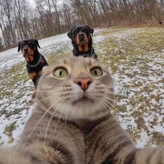 Prototype - Cover Outkast