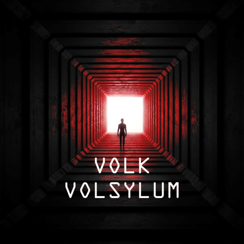 [TEMPORARY FREE DL] VOLK - INTRO-NECOX