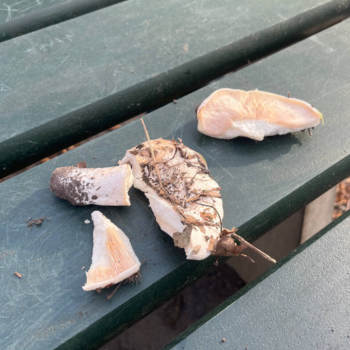 something very strange. 130bpm