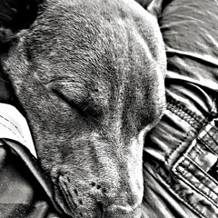 OK By My SELF - Dj Bones