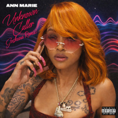 Unknown Caller - Ann Marie (Joshxua Remix)