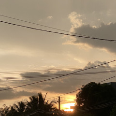 Cô ấy nói | Hứa Kim Tuyền