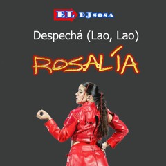 Rosalía - Despecha (Lao Lao) "Nueva Versión"