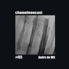 chameleon #65 - Andre de Wit