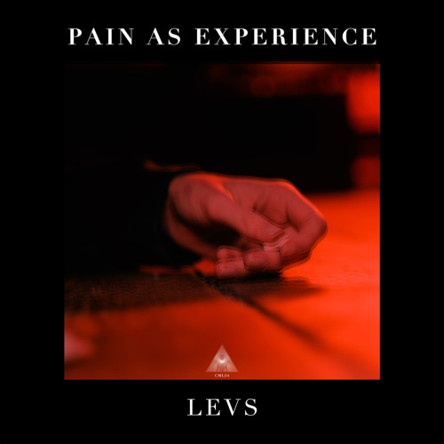 Pain as Experience - LEVS [CML04]
