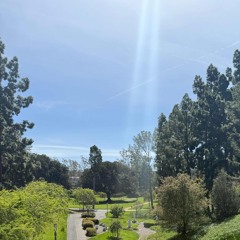 Jesús, sol y escudo eres