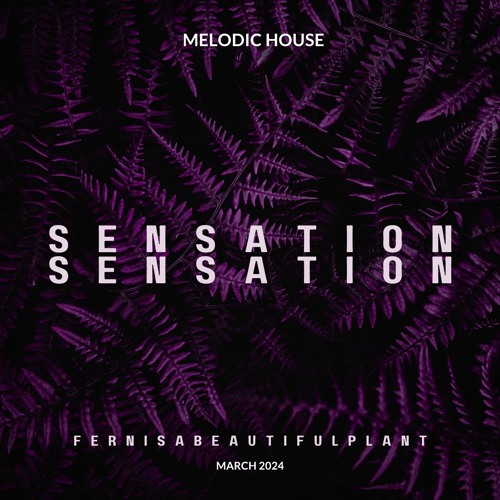 SENSATION / Melodic House - Fernisa (TH)