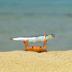 Club-RES :: But..Where is Dominique ?