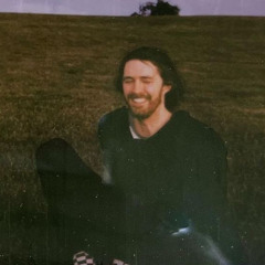 the humors of whiskey - hozier