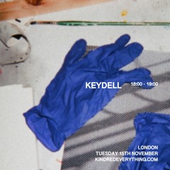 KEYDELL 15.11.22