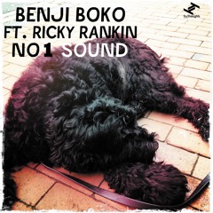 No.1 Sound (Benji Boko's Jump Up Re-Rub) [feat. Ricky Rankin]