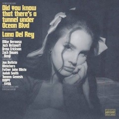 Lana Del Rey Ft BLEACHERS - Margaret _ TikTok Version.