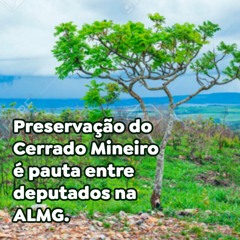 Preservação do Cerrado Mineiro é pauta entre deputados na ALMG