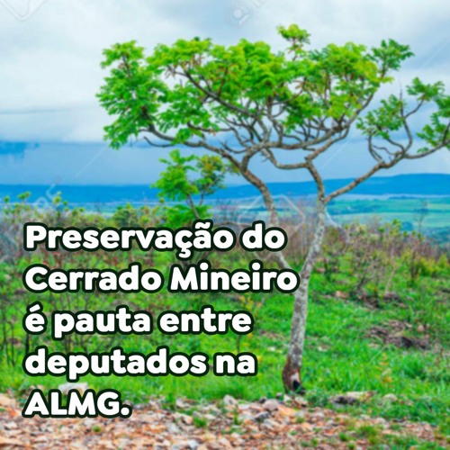 Preservação do Cerrado Mineiro é pauta entre deputados na ALMG