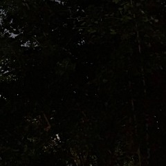그대