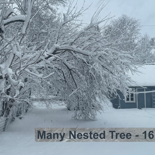 Jordan Barger | Many Nested Tree #16 | 01142024