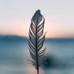Of A Feather