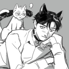 meu primeiro diariocore